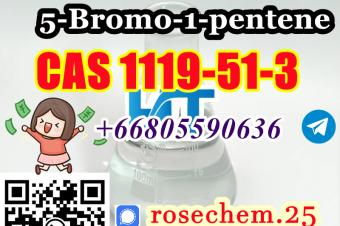 8615355326496 Supply 5Bromo1pentene CAS 1119513 Big Sale
